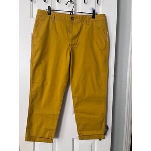 New Amazon Essentials Dark Yellow Pant Size 16